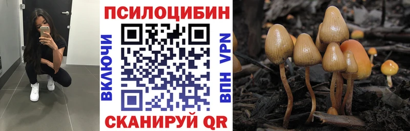 Псилоцибиновые грибы Psilocybe  мега вход  Конаково 