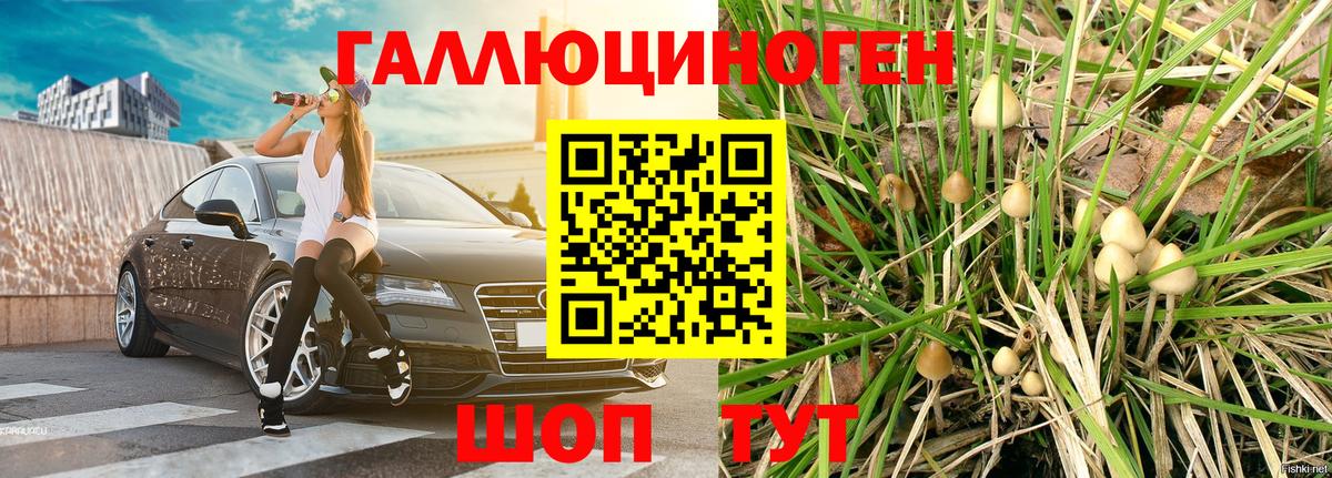 цены   Вход с VPN  Конаково  Псилоцибиновые грибы Magic Shrooms 
